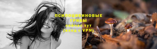 скорость Балахна